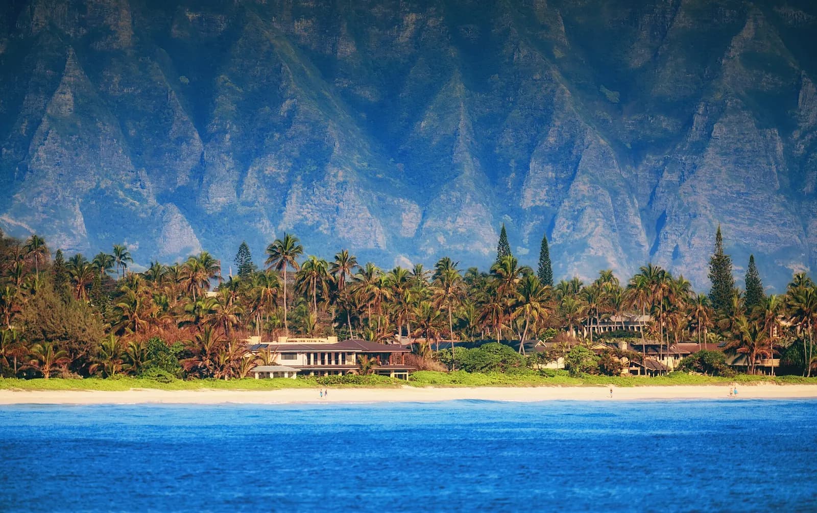 Những căn nhà ven biển và hàng cọ với vách núi Koolau phía sau ở Kailua