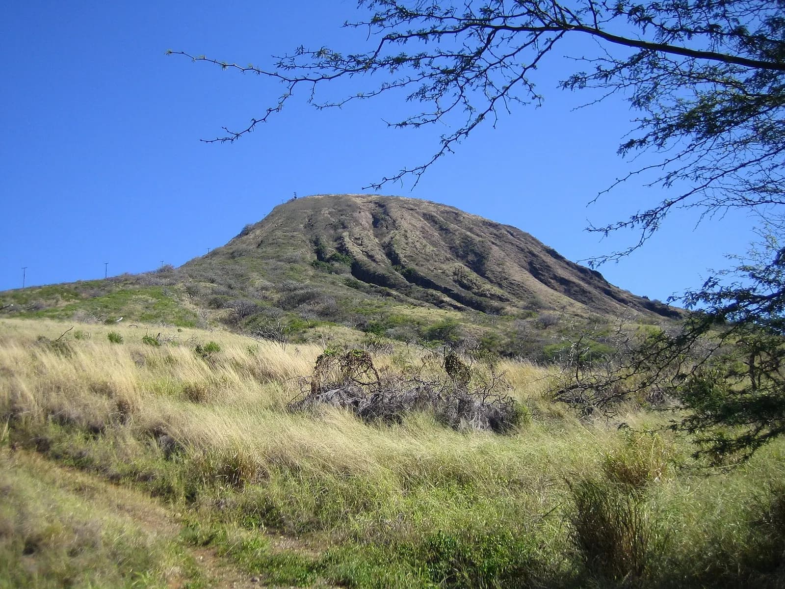 Koko Crater trồi lên trên sườn cỏ, nhìn từ chân đường mòn đường sắt cũ