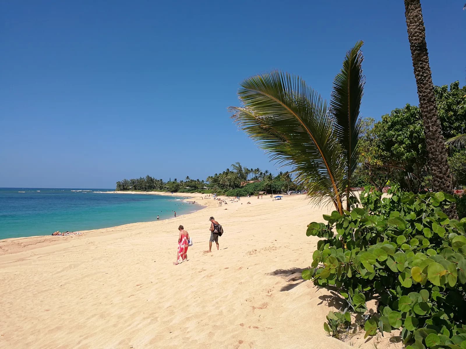 Bãi cát dài ở Sunset Beach với nước xanh ngọc, hàng cây và hai người đi dạo
