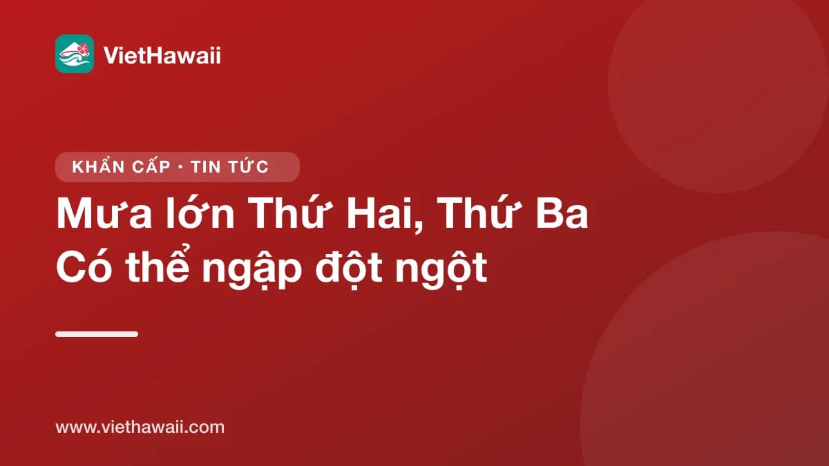 Mưa lớn dự báo Thứ Hai và Thứ Ba tuần sau, có thể ngập đột ngột